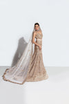 Fahad Hussayn E-Storepk dress Beige / Net / Gown LAVCETTE