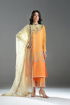 Fahad Hussayn E-Storepk Stitched Standard / Multi / Lawn / Chiffon RHY