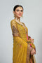 Fahad Hussayn E-Storepk Haldi